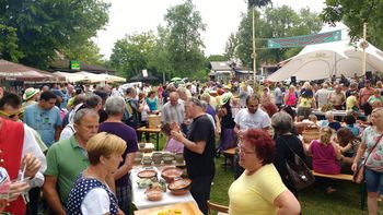 Slovenski dan v Dragočajni