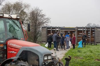 KER SEM FRAJER, ČISTIM HRAŠKI BAJER (+ voden ogled!)