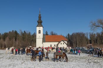 BLAGOSLOV KONJ v Hrašah na sv. Štefana ob 9. uri (26. decembra) + razstava fotografij