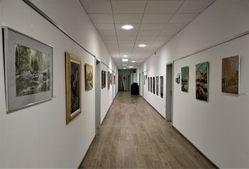 RAZSTAVA SLIK Likovne sekcije KUD Zbilje