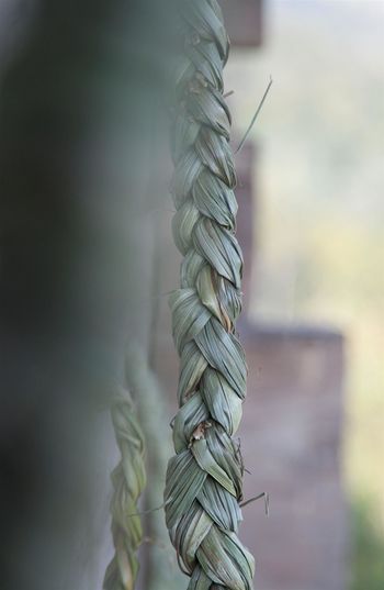 Hiša na hribu 2019 RAZSTAVA