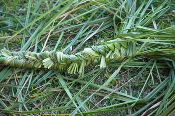 Hiša na hribu 2019 LAND ART in VIDEO DELAVNICA
