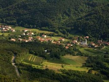 Večer pod lipo: KONCERT BEEGEESUS