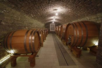 Martinovanje na kmetiji Tomažič