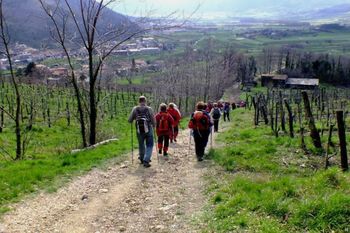 Pohod Med vrhpoljskimi vinogradi 2018