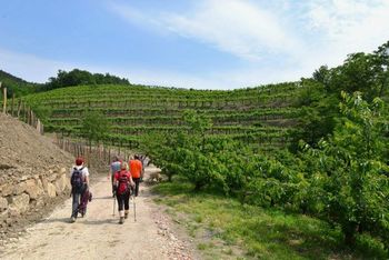  Pohod med slapovi in vinogradi 2018