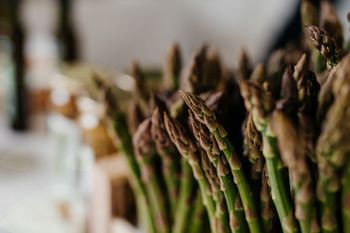 Kulinarični mesec v Vipavski dolini 