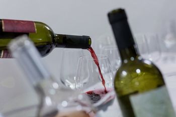 11. študentski festival vin Visoke šole za vinogradništvo in vinarstvo Univerze v Novi Gorici