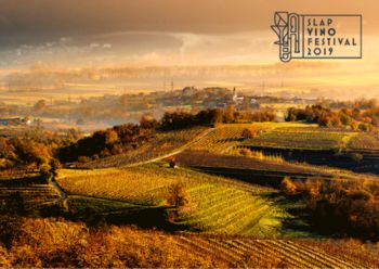 Prvi Slap Vino festival 