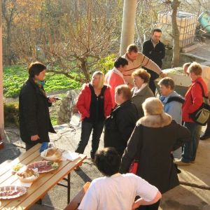 Osmica Ferjančič, Gradišče pri Vipavi 