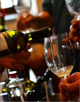  Martinovanje z Modrijani v vinski kleti Vipava 1894