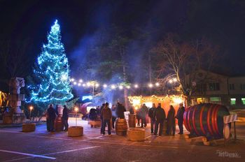 Lanthierijeva brunarica na trgu 2019