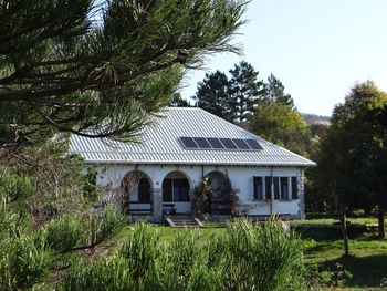 CIAO SONČEK - ob ognju, frtalji in kozarcem v roki NA NANOSU