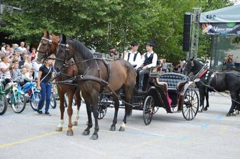  ODPOVEDANO: Furenga svetega Martina