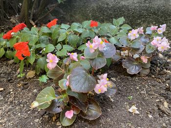 Vabilo na klepet z ga. Marijo Trošt 