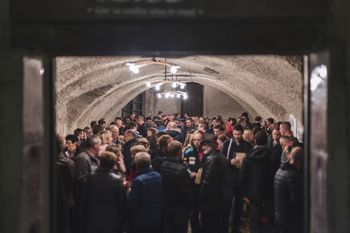 Martinovanje v Gradu Lože 