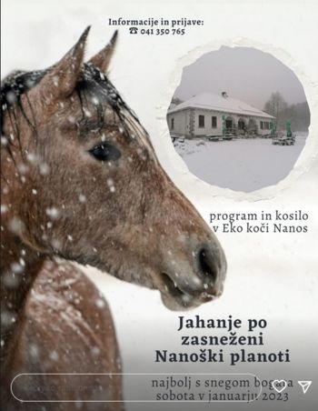 Jahanje po zasneženi Nanoški planoti 