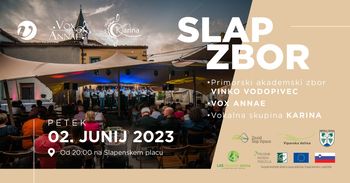 Slap Zbor
