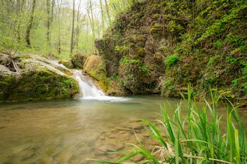 Brezplačna vadba joge v Vipavi -15.6.2023