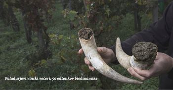 Faladurjevi vinski večeri: 50 odtenkov biodinamike z Martinom Gruzovinom