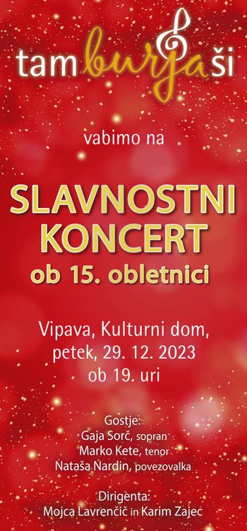 Slavnostni koncert ob 15. obletnici 