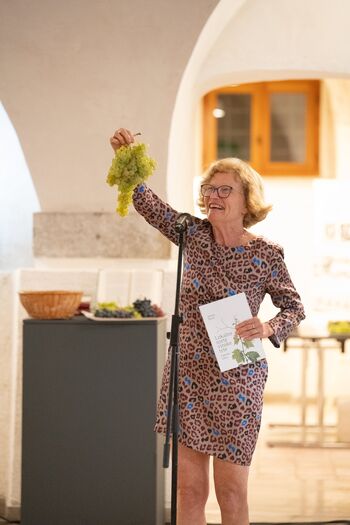 Vipavska dolina v malem – mini razstava grozdja v vinoteki Lanthierijev hram 