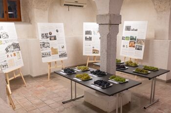 Razstava »Srečna dežela je, vino rodi …«, poklon vinogradniški tradiciji Vipavske doline