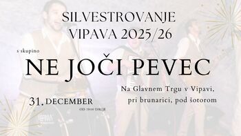 Silvestrovanje: Ne joči pevec 