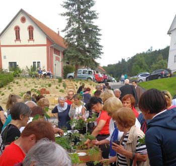 FLANCANJE 2019: VSAK CVET ŠTEJE!