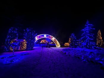 Otvoritev 9. Božične bajke Slovenije v Mozirskem gaju