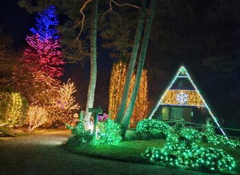 Otvoritev 10. Božične bajke Slovenije