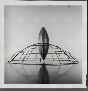 Literarni obmejni okusi