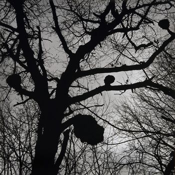 JAVNO VODSTVO po razstavi Andreja Perka: Mi hočemo živeti z umetnikom