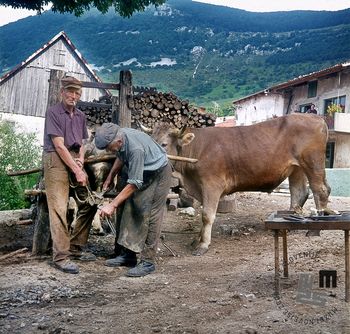 Vodstvo po razstavi Edi Šelhaus. Retrospektiva. Izbor del