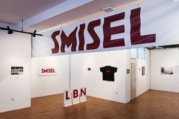 Virtualni vodeni ogled razstave Lele B. Njatin, Ker mi nismo le podobe, smo ljudje