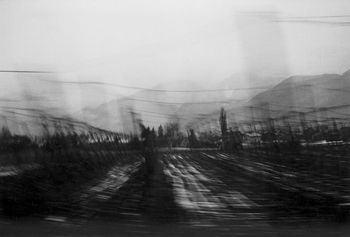 ZORA PLEŠNAR. RETROSPEKTIVA. IZBOR DEL