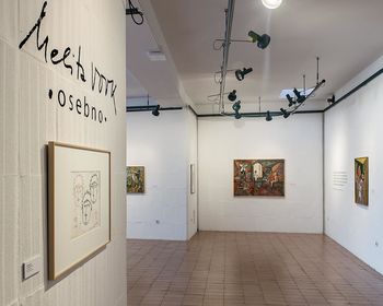 Javno vodstvo po razstavi Melita VOVK osebno