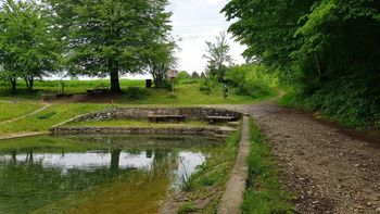 Pravljični potep s Knjižnico Medvode in Suzano
