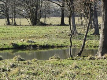 Pravljični potep s Knjižnico Medvode in Suzano