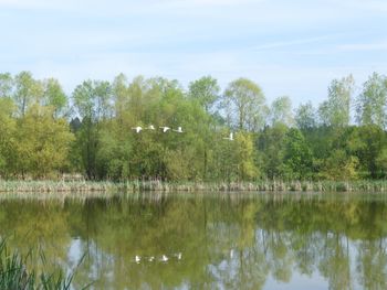 Odprtje ornitološke opazovalnice Hraše