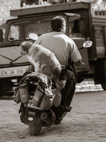 Različnost: otvoritev skupinske razstave fotografij petih avtorjev z otvoritvijo