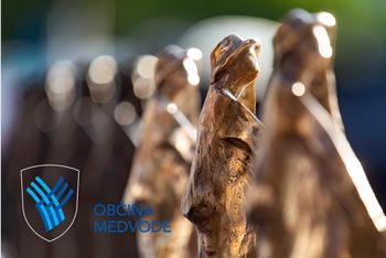 Slavnostna seja Občinskega sveta Občine Medvode