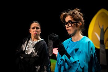 Ta veseli dan kulture: Gledališka predstava Srakica in Sova