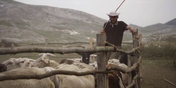 KINO KAVA: film Gora se ne bo premaknila