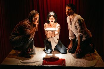 GLEDALIŠKI ABONMA SOTOČJE, KRIK: MAMA