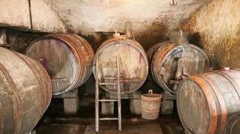 Policijska kronika – september 2019