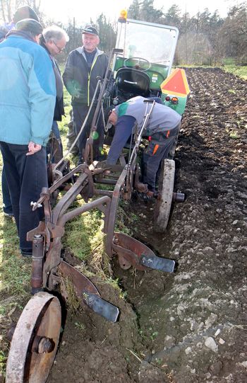 Orali s plugom, starim okoli sto let