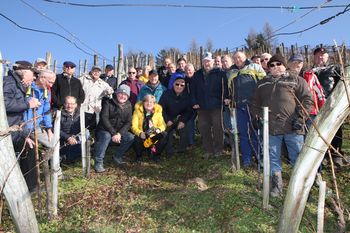 Priprave na rez vinske trte 