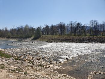 Obnova drče v Ločici