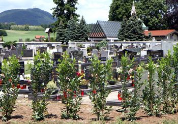 Obnova polzelskega pokopališča